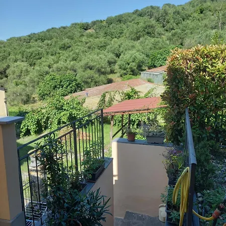 La Casa Tra Gli Ulivi *