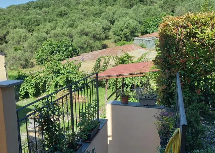 La Casa Tra Gli Ulivi *